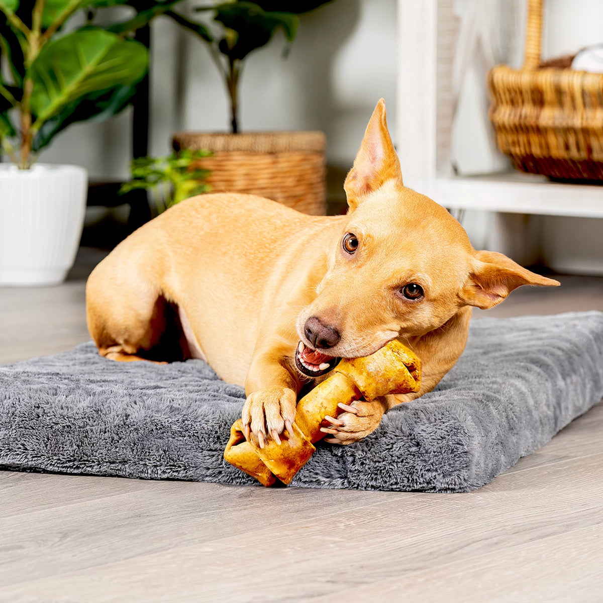 Beefhide Bones Chicken Flavored 6", 12 Count W57701