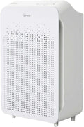 White Air Cleaner R450