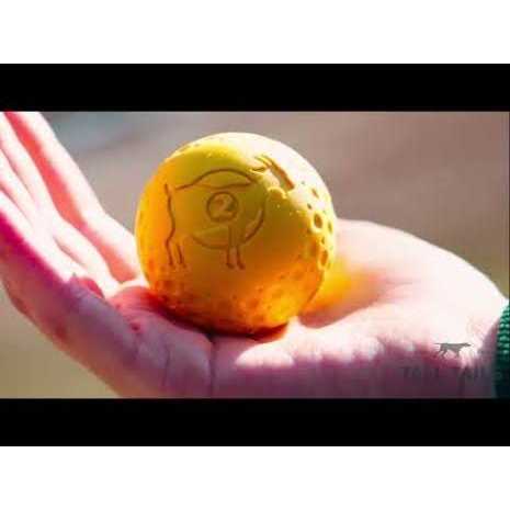 Goat Sport Ball Dog Toy C770