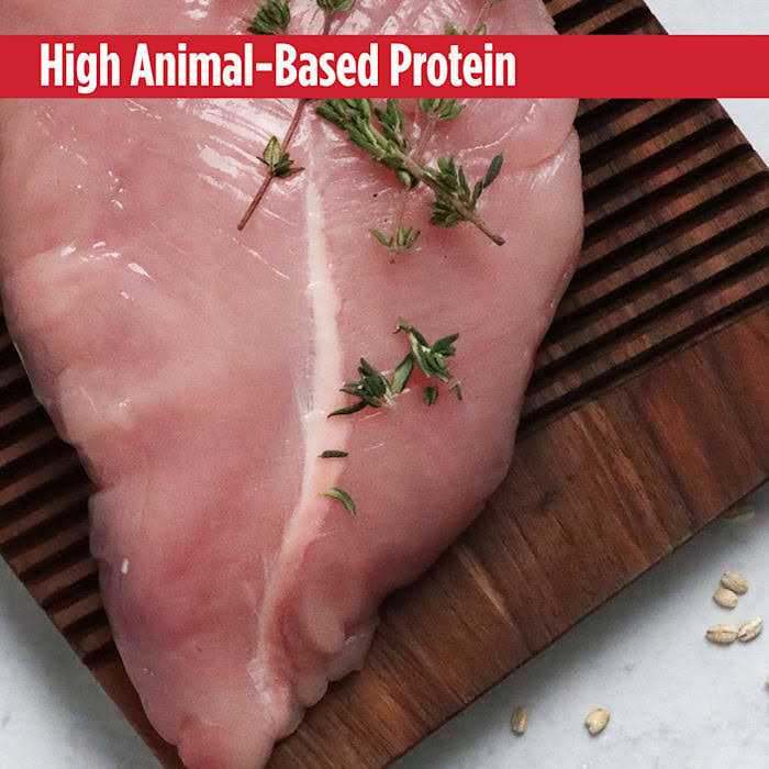 Turkey Small Breed Adult Dry Dog Food G36039