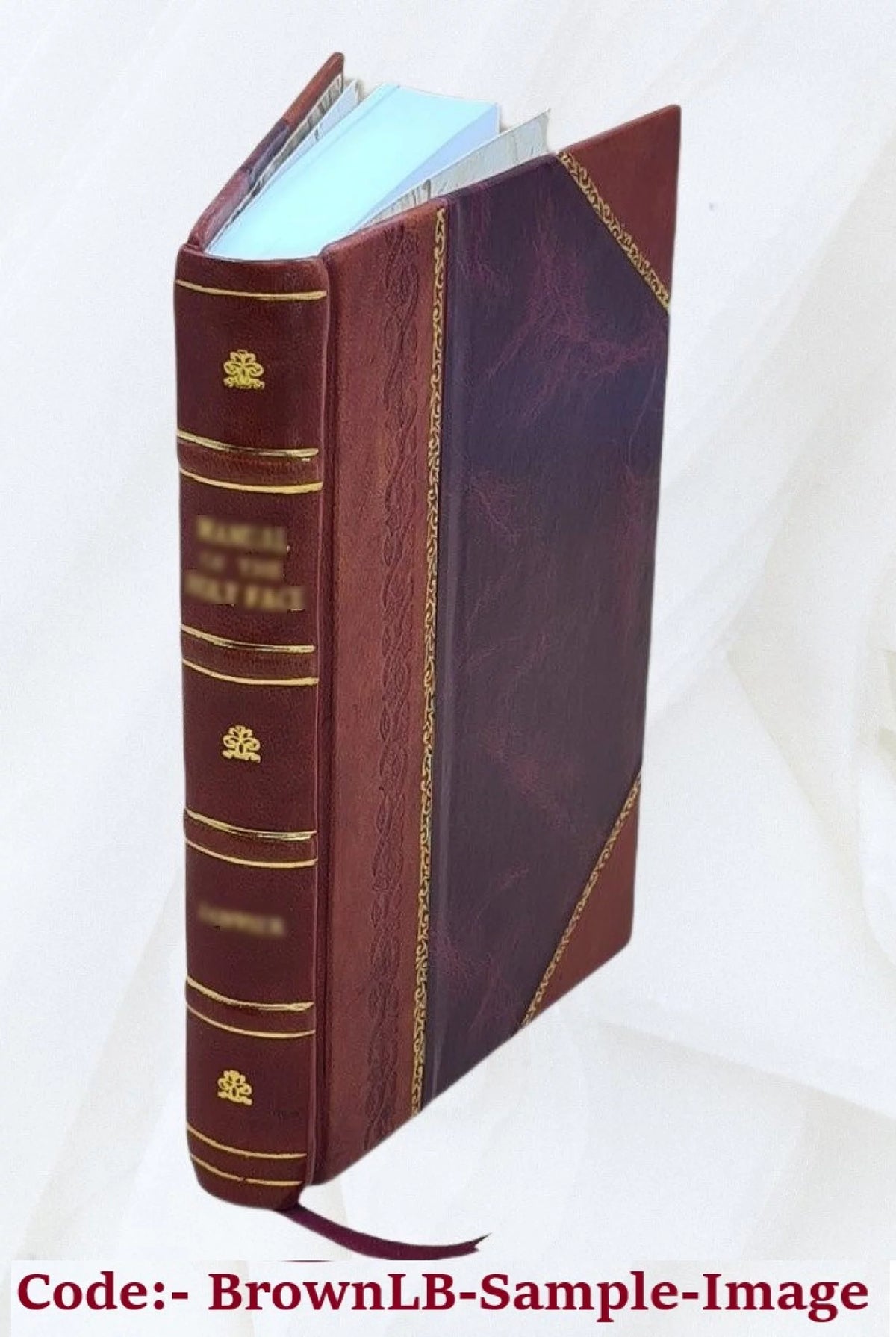 Roman historique inédit du temps du Directoire Tome 2 Leather Bound M276967