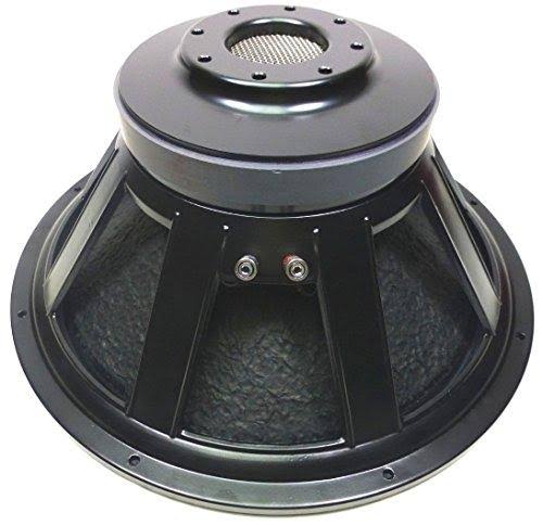1000W Cast Frame Sub-woofer Speaker H1291