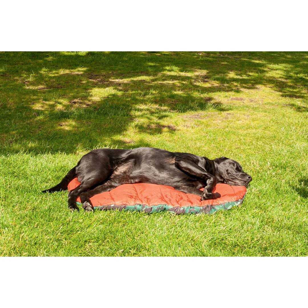 Packable Travel Dog Bed S543