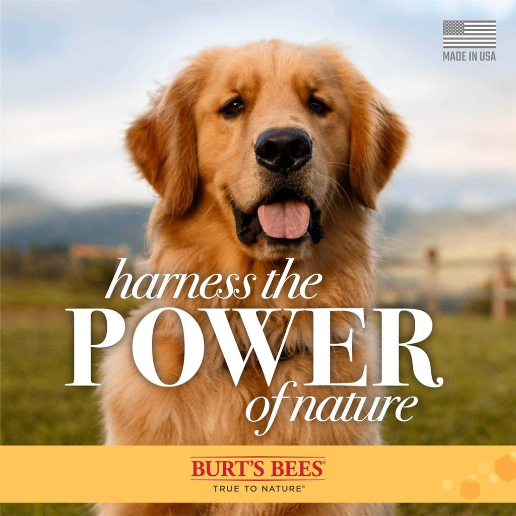 Milk & Honey Dog Shampoo & Conditioner Q161885