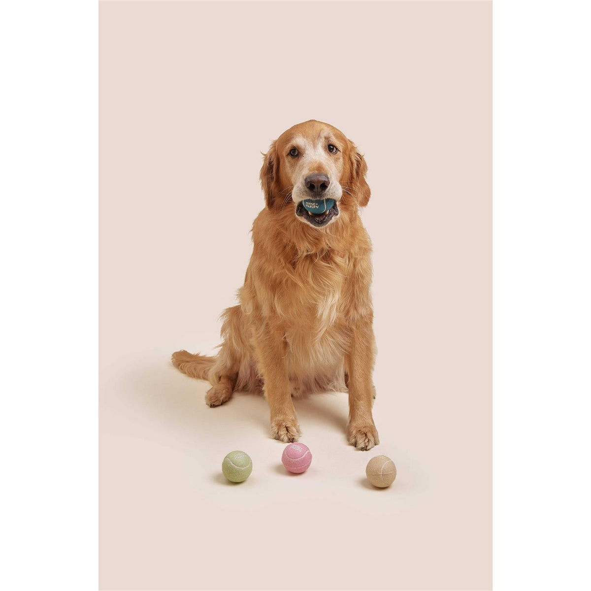 Dog Tennis Balls Q4648