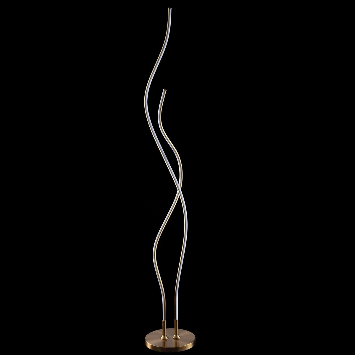 Gold LED Integrated Floor Lamp O726230
