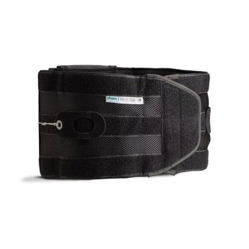 Large 36 to 42 Inch Back Brace N172289