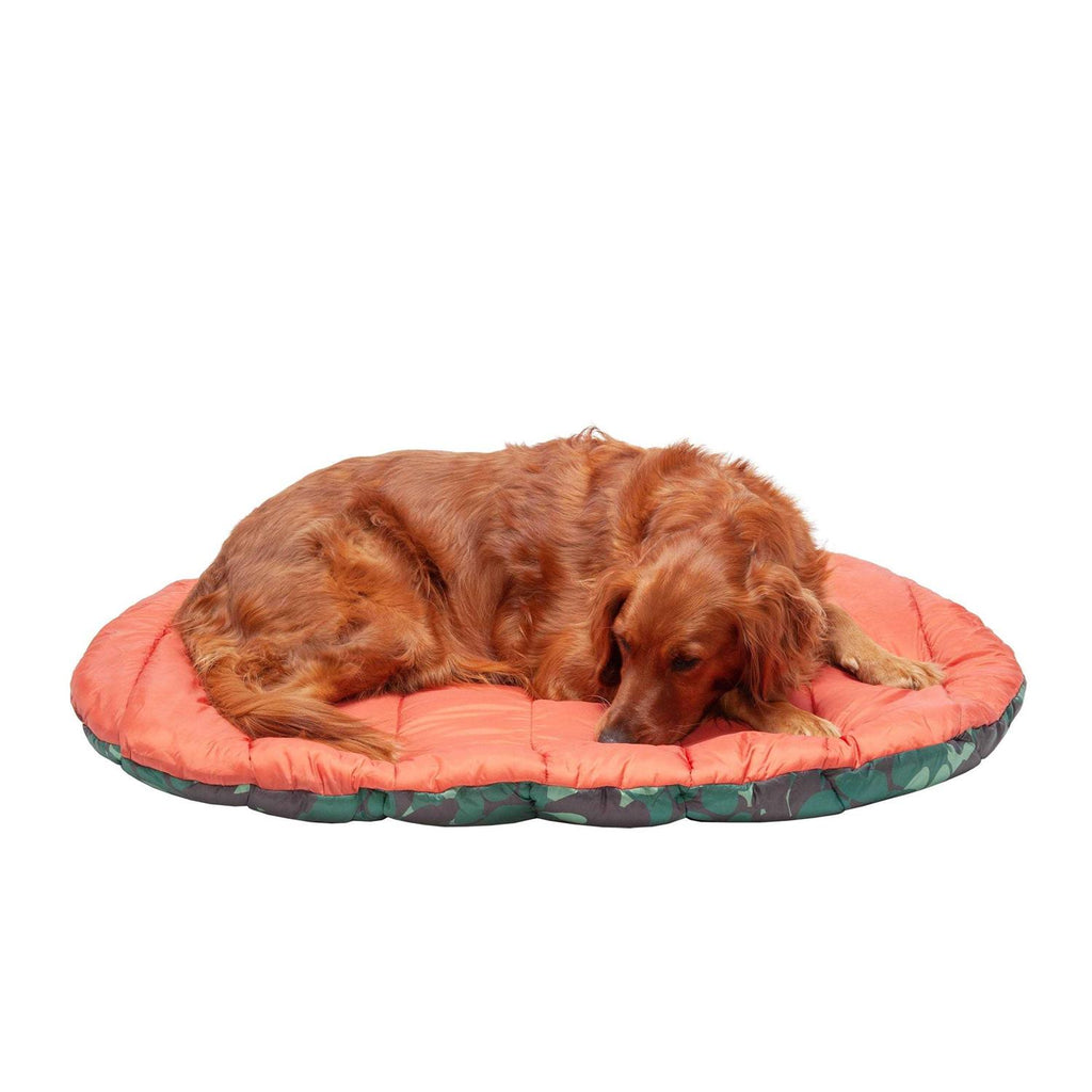 Packable Travel Dog Bed S543