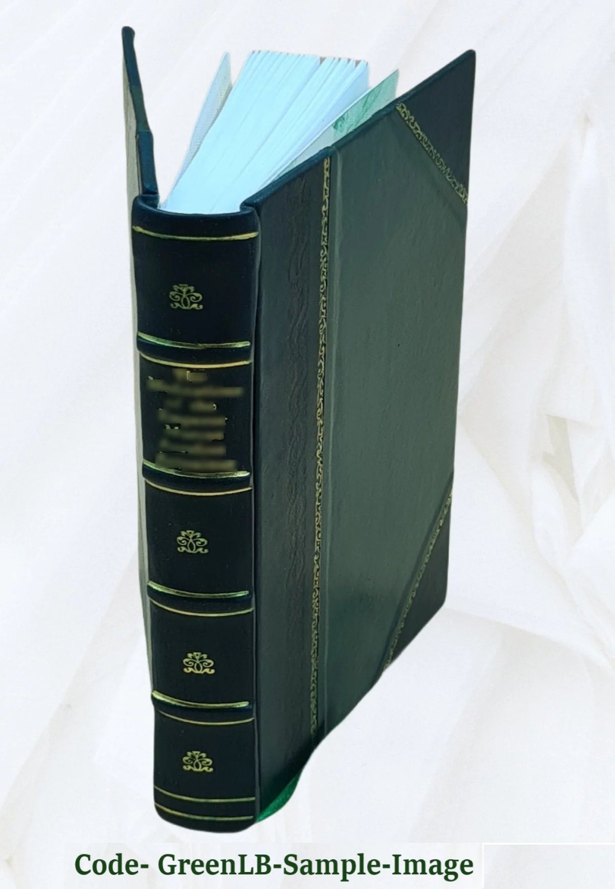 Roman historique inédit du temps du Directoire Tome 2 Leather Bound M276967