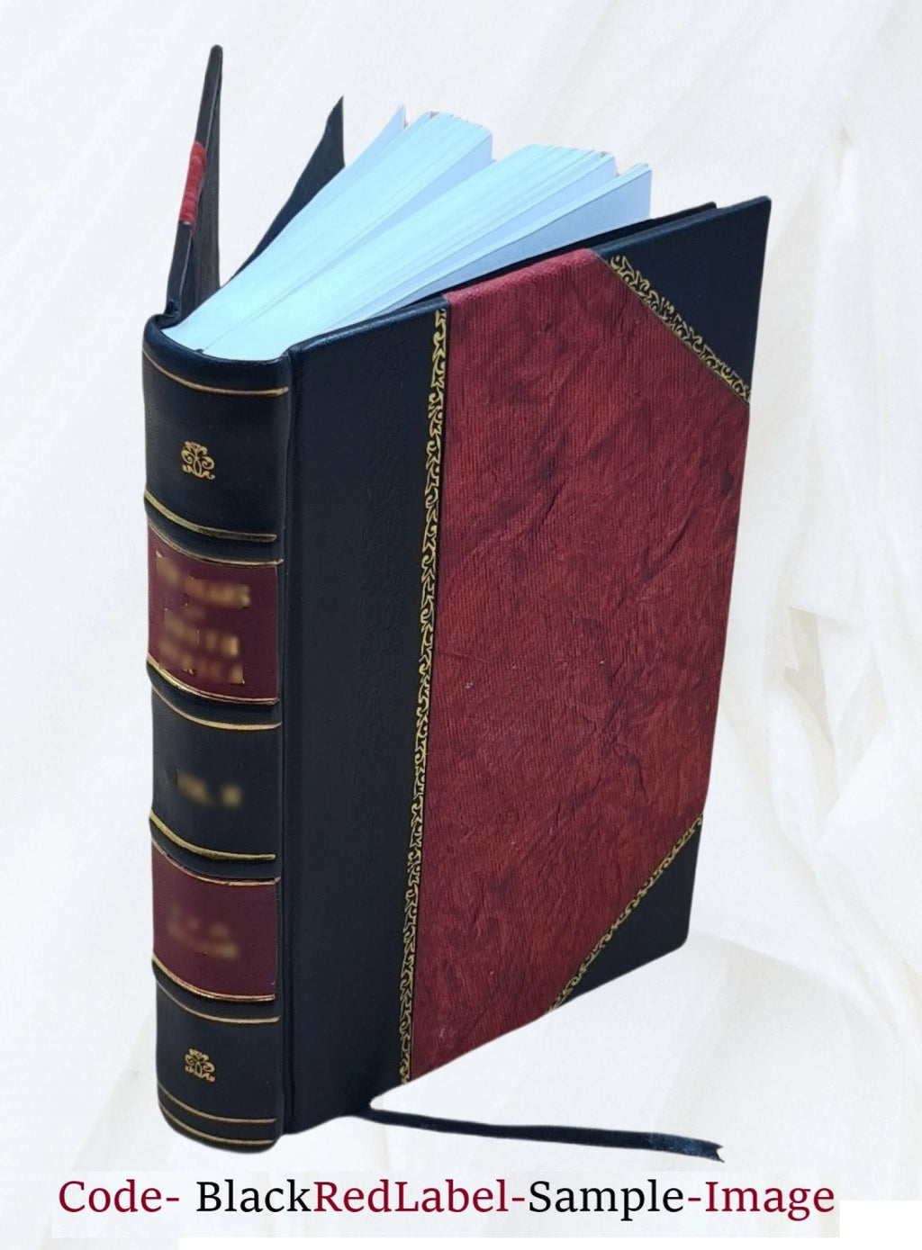 Roman historique inédit du temps du Directoire Tome 2 Leather Bound M276967